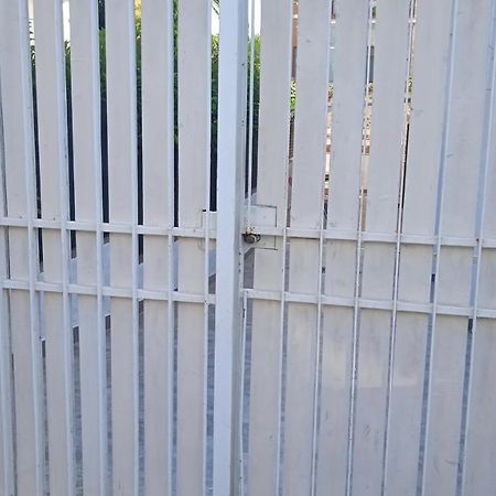 Casetta Con Giardino Santa Marinella Exterior foto